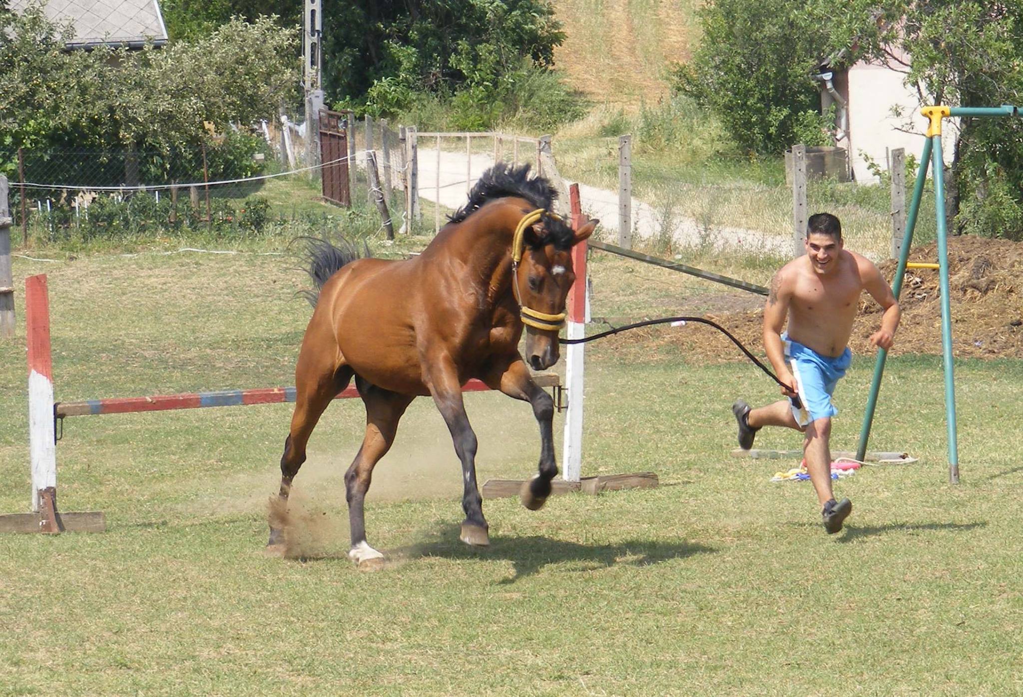 Imre Hideg